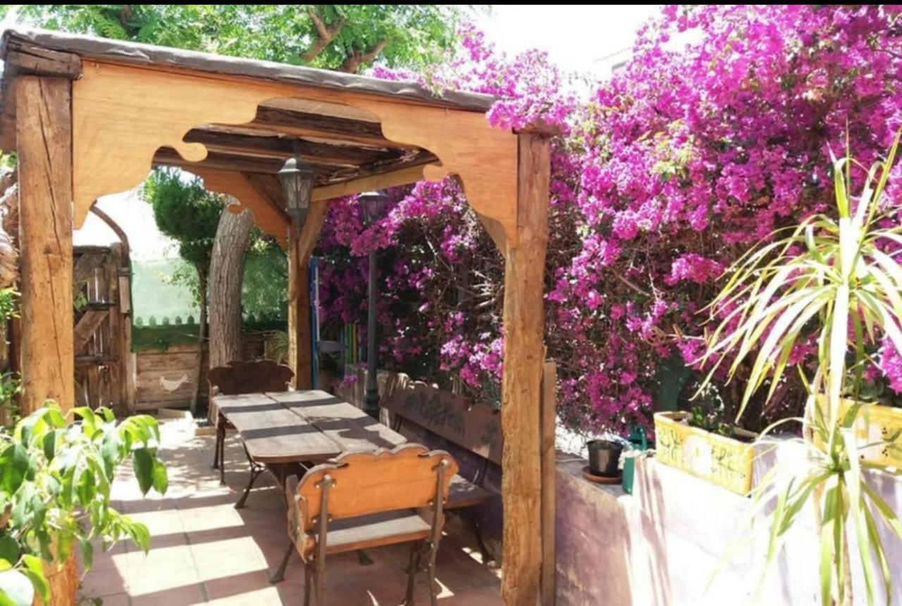 Bungalow Con Encanto, 100M2, A 800 M De La Playa El Campello Εξωτερικό φωτογραφία