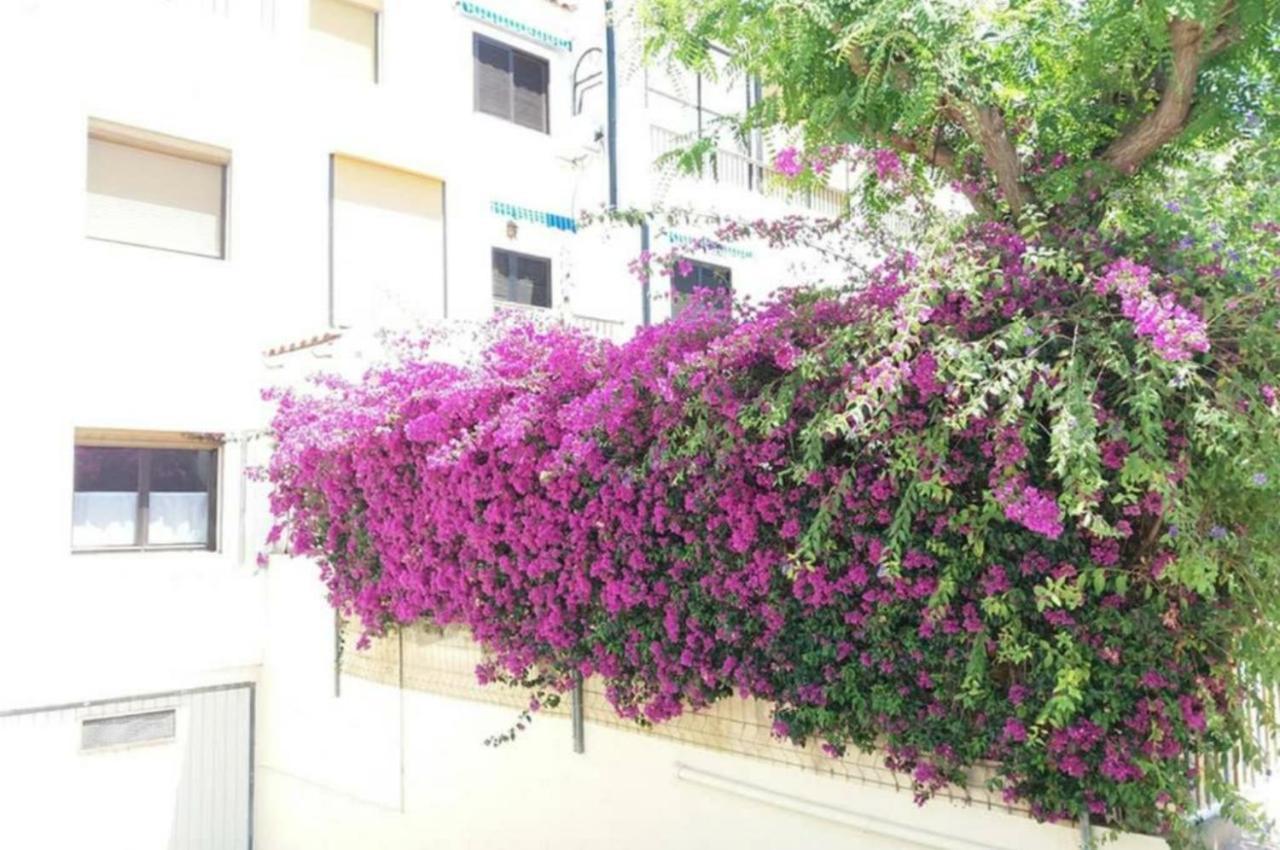 Bungalow Con Encanto, 100M2, A 800 M De La Playa El Campello Εξωτερικό φωτογραφία